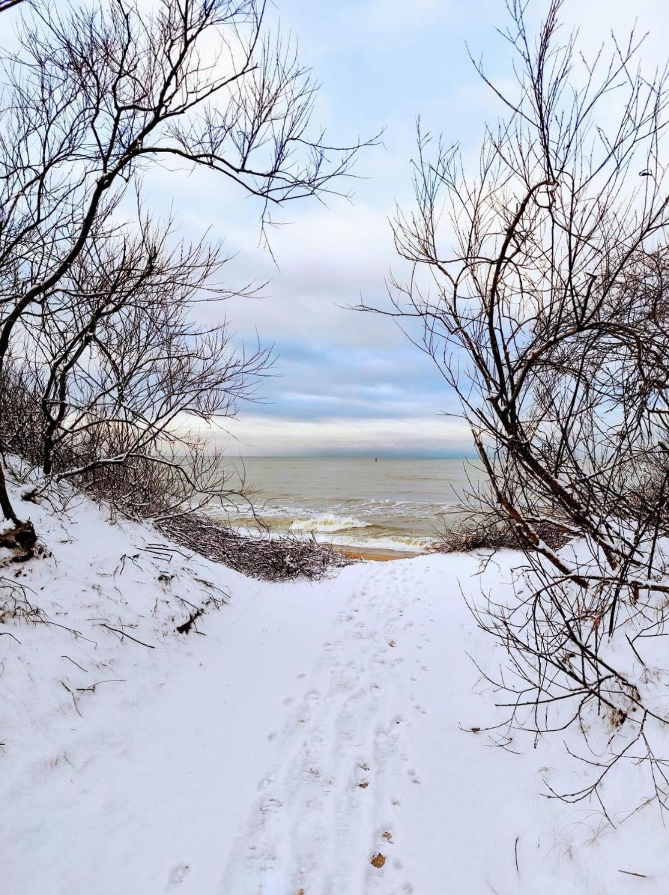 Zalia Kopa Palanga Exterior foto